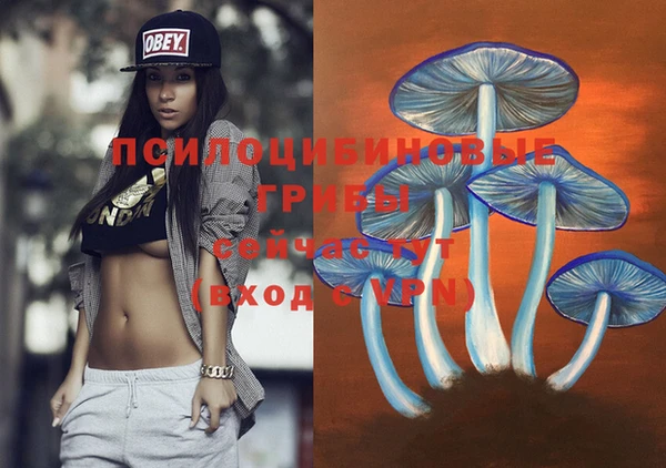 винт Корсаков