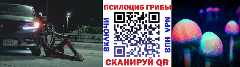 Псилоцибиновые грибы мухоморы  Мещовск 