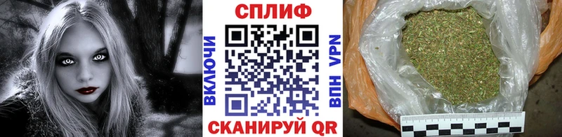 Конопля планчик  сколько стоит  Мещовск 